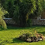Manto 3* Tirós