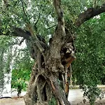 شقة فندقية Manto