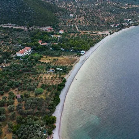 Manto Tirós