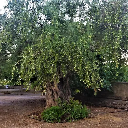 Manto מלון דירות