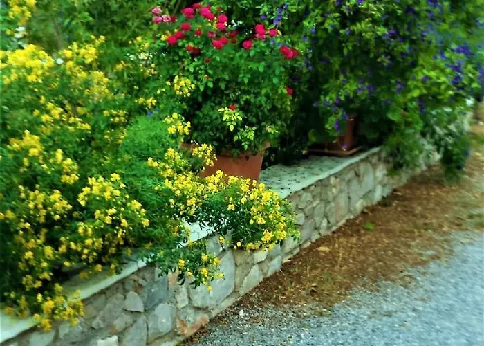 מלון דירות Manto