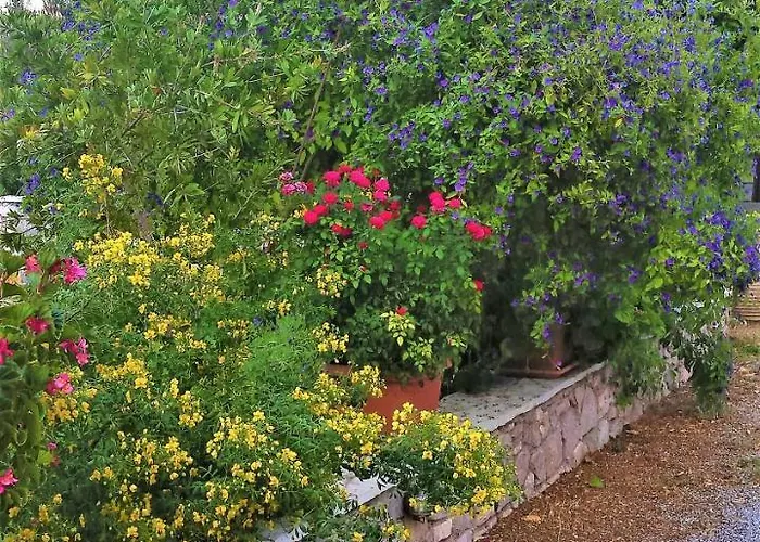 Apartahotel Manto Tirós